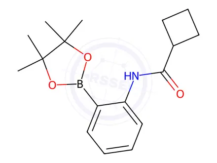 Chemical structure of N-(2-(4,4,5,5-tetramethyl-1,3,2-dioxaborolan-2-yl)phenyl)cyclobutanecarboxamide