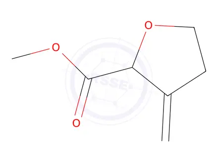 Chemical structure of 2-Furancarboxylicacid,tetrahydro-3-methylene-,methylester(9CI)