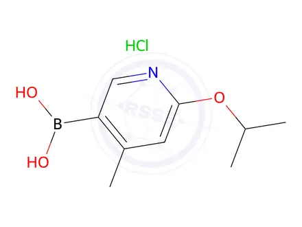 Chemical structure of (6-Isopropoxy-4-methylpyridin-3-yl)boronic acid hydrochloride