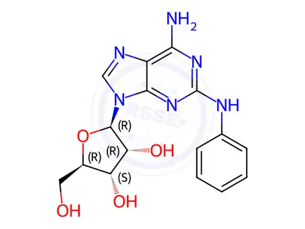 Chemical structure of 2-Phenylamino Adenosine