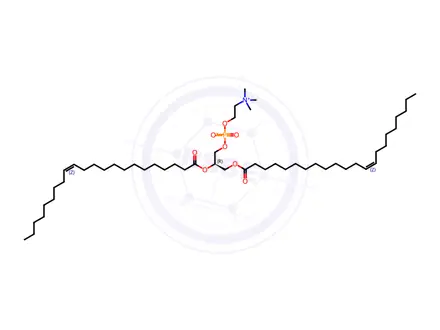 Chemical structure of 22:1 (Cis) PC