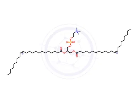 Chemical structure of DL-Dierucoylphosphatidylcholine