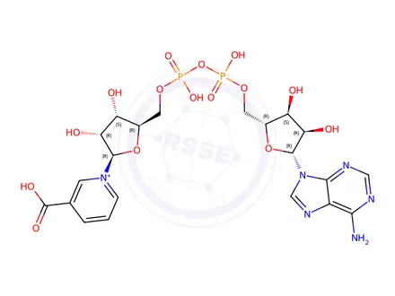 Chemical structure of Laminaria pallida, ext.