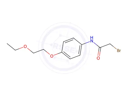 Chemical structure of 2-Bromo-N-[4-(2-ethoxyethoxy)phenyl]acetamide