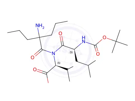 Chemical structure of t-butyloxycarbonyl-leucyl-dipropylglycyl-valine methyl ester