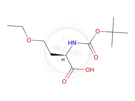 Chemical structure of N-Boc-O-ethyl-D-homoserine