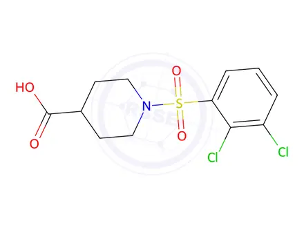 Chemical structure of 1-[(2,3-dichlorophenyl)sulfonyl]piperidine-4-carboxylic acid