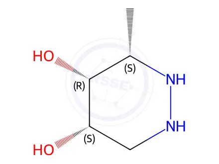 Chemical structure of (3S,4R,5S)-3-Methylhexahydropyridazine-4,5-diol