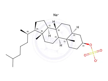 Chemical structure of sodium (3S,5S,8R,9S,10S,13R,14S,17R)-10,13-dimethyl-17-((R)-6-methylheptan-2-yl)hexadecahydro-1H-cyclopenta[a]phenanthren-3-yl sulfate