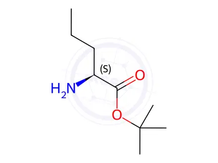 Chemical structure of L-Norvaline, 1,1-dimethylethyl ester