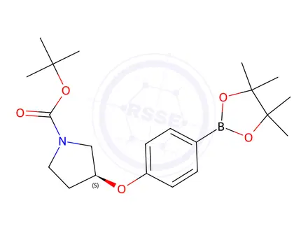 Chemical structure of (S)-tert-Butyl 3-(4-(4,4,5,5-tetramethyl-1,3,2-dioxaborolan-2-yl)phenoxy)pyrrolidine-1-carboxylate