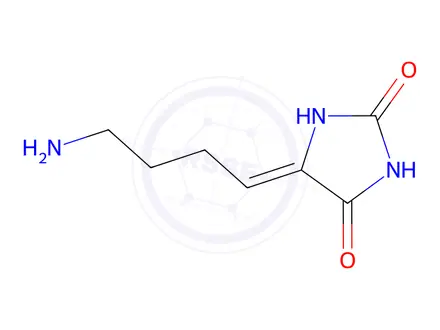 Chemical structure of 5-(4-Aminobutylidene)imidazolidine-2,4-dione
