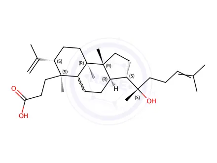 Chemical structure of Dammarenolic Acid