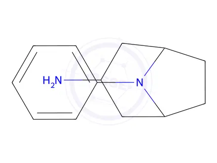 Chemical structure of 8-phenyl-8-azabicyclo[3.2.1]octan-3-amine