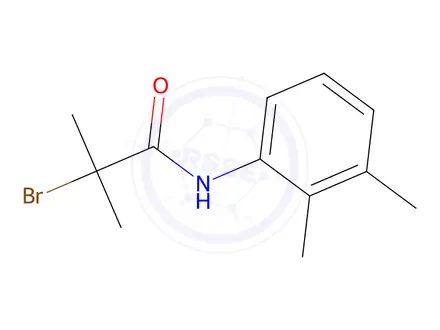 Chemical structure of 2-Bromo-N-(2,3-dimethylphenyl)-2-methylpropanamide