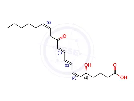 Chemical structure of 12-Oxoleukotriene B4 in acetonitrile
