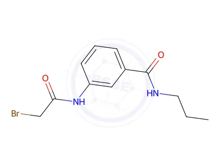 Chemical structure of 3-[(2-Bromoacetyl)amino]-N-propylbenzamide