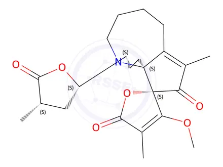 Chemical structure of Protostemotinine