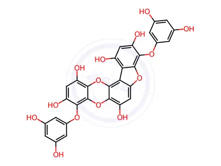 Chemical structure of phlorofucofuroeckol A