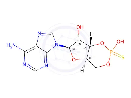 Chemical structure of Adenosine 3',5'-cyclic monophosphothioate Rp-isomer sodium salt
