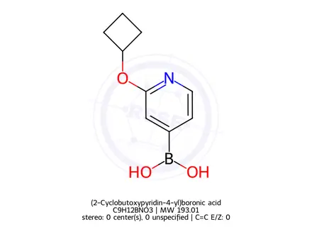 Chemical structure of (2-Cyclobutoxypyridin-4-yl)boronic acid