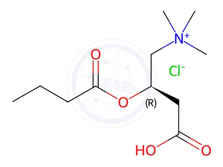 Chemical structure of (R)-Butyryl carnitine chloride