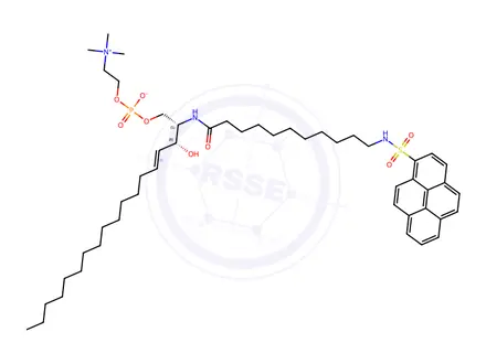 Chemical structure of N-(11-(1-pyrene)sulfonylaminoundecanoyl)sphingomyelin