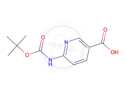 Chemical structure of 6-[(Tert-butoxycarbonyl)amino]nicotinic acid