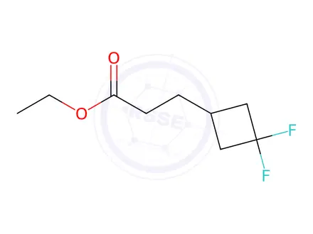 Chemical structure of Ethyl 3-(3,3-difluorocyclobutyl)propanoate