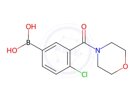 Chemical structure of 4-Chloro-3-(N-morpholinecarbonyl)phenylboronic acid