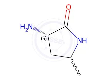 Chemical structure of (3S)-3-Amino-5-methylpyrrolidin-2-one