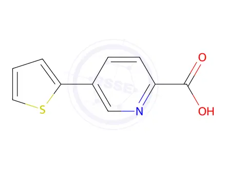 Chemical structure of 5-(Thiophen-2-yl)picolinic acid