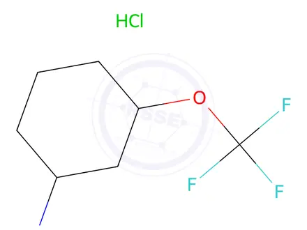 Chemical structure of 3-Trifluoromethoxy-cyclohexylamine hydrochloride