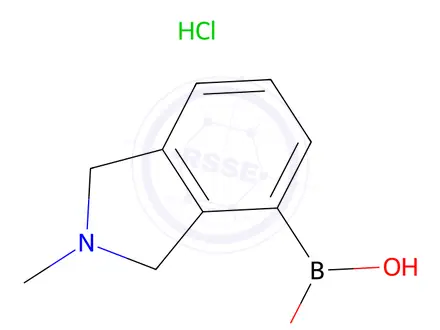 Chemical structure of (2-Methylisoindolin-4-yl)boronic acid hydrochloride