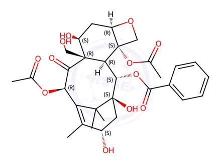 Chemical structure of 19-Hydroxybaccatin III