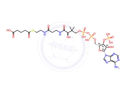 Chemical structure of Glutaryl CoA Lithium Salt