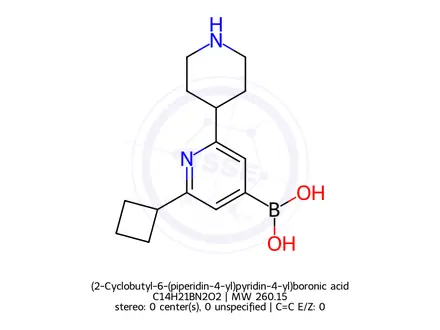 Chemical structure of (2-Cyclobutyl-6-(piperidin-4-yl)pyridin-4-yl)boronic acid
