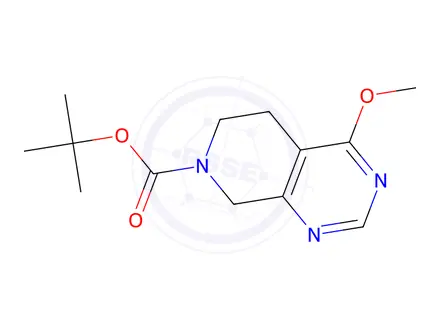 Chemical structure of 7-Boc-4-methoxy-5,6,7,8-tetrahydropyrido[3,4-d]pyrimidine