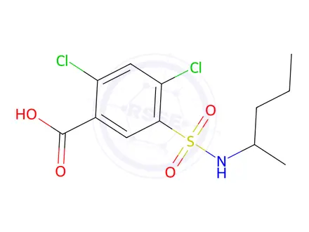 Chemical structure of 2,4-Dichloro-5-[(pentan-2-yl)sulfamoyl]benzoic acid