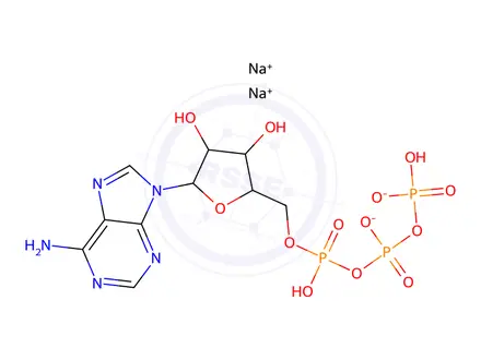 Chemical structure of Adenosine Impurity 13
