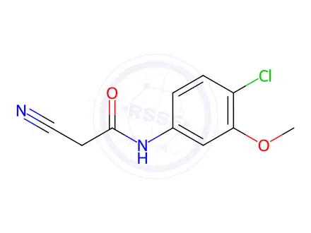 Chemical structure of N-(4-chloro-3-methoxyphenyl)-2-cyanoacetamide