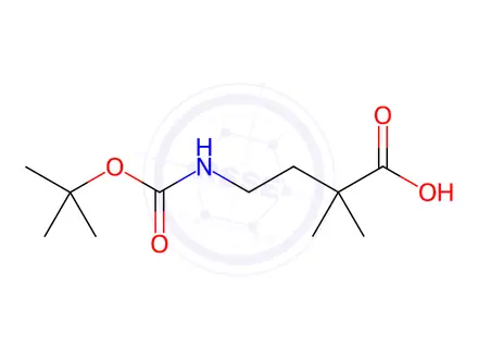 Chemical structure of 4-(t-Butoxycarbonylamino)-2,2-dimethylbutanoic acid