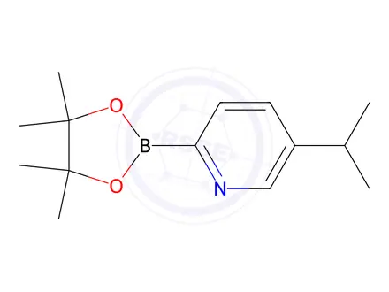 Chemical structure of 5-(1-Methylethyl)-2-(4,4,5,5-tetramethyl-1,3,2-dioxaborolan-2-yl)pyridine