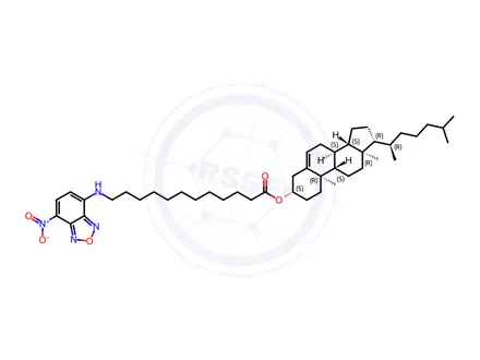 Chemical structure of NBD-12 Cholesterol