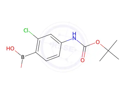 Chemical structure of (4-{[(tert-Butoxy)carbonyl]aMino}-2-chlorophenyl)boronic acid