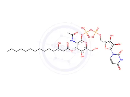 Chemical structure of UDP-3-O[R-3-Hydroxymyristoyl]-N-acetylglucosamine