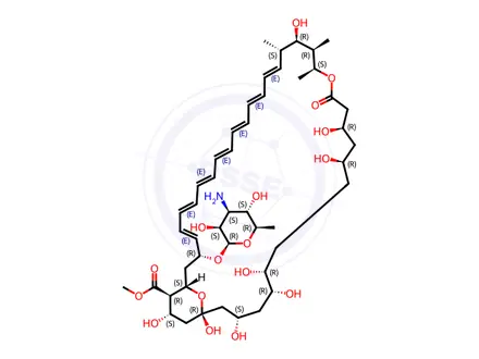Chemical structure of Amphotericin B Methyl Ester (>80%)