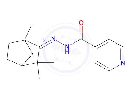 Chemical structure of N'-(1,3,3-Trimethylnorbornan-2-ylidene)isonicotinic hydrazide