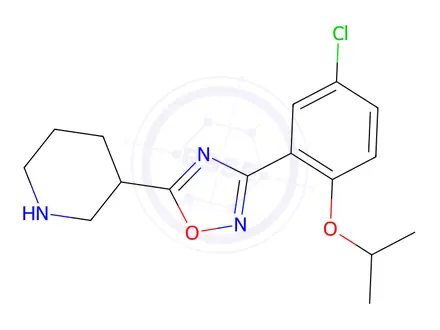 Chemical structure of 3-(5-Chloro-2-isopropoxyphenyl)-5-(piperidin-3-yl)-1,2,4-oxadiazole