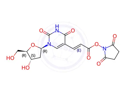 Chemical structure of (E)-5-(2-Carboxyvinyl)-2’-deoxyuridine N-Hydroxysuccinimide Ester